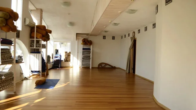 Студия йоги Yoga Practika Пушкинская