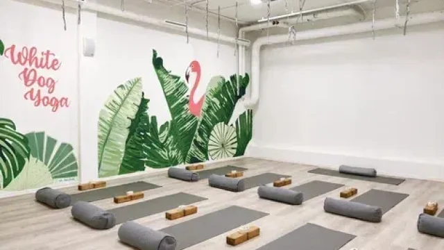 Студия йоги White dog yoga