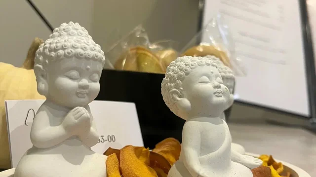 Студия йоги Луна