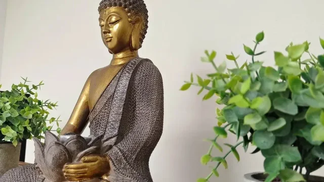 Студия йоги Эко Yoga