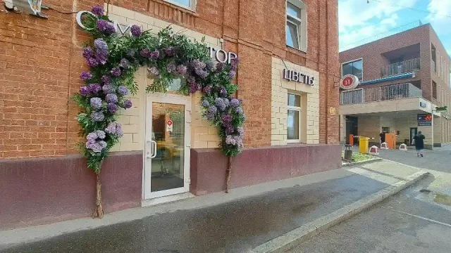 Студия йоги Oyoga