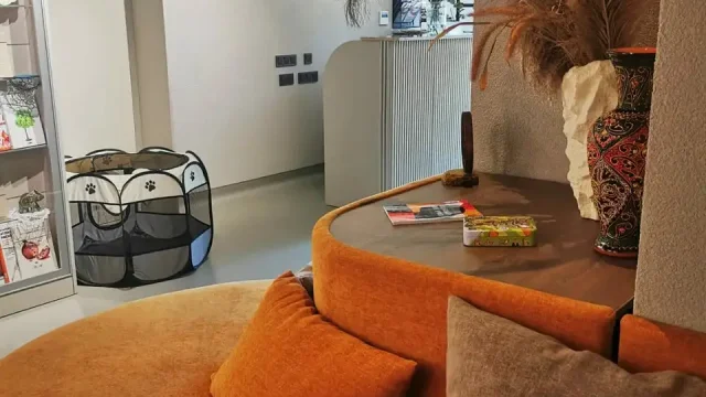Студия йоги Тадасана