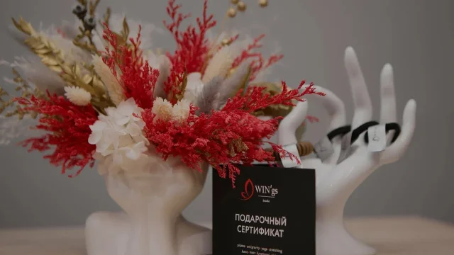 Студия йоги Win`gs